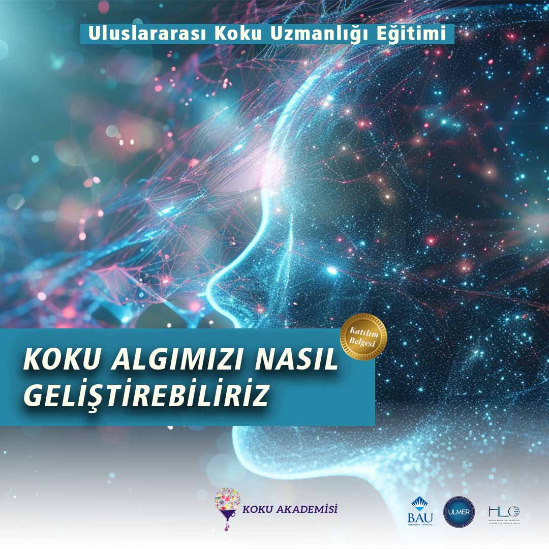 Koku Duyumuzu Nasıl Geliştiririz